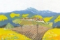 Preview: N = 2 Sujets Landschaft