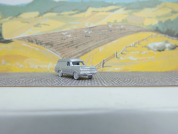 Opel Admiral Leichenwagen 60iger Jahre